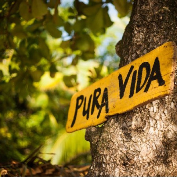 Pura Vida Assorted Bracelets NWT - Picture 3 of 3